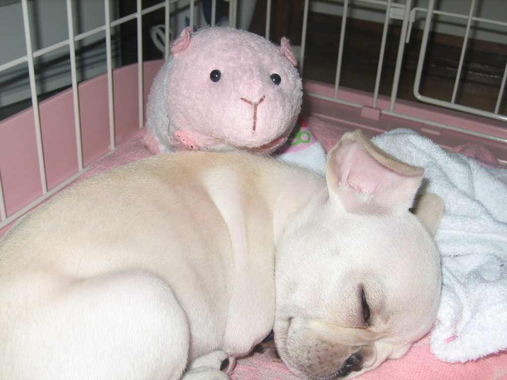 f:id:masami_takasu:20180830231629j:plain