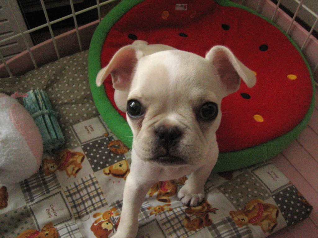 f:id:masami_takasu:20180830231745j:plain