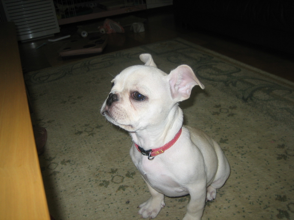 f:id:masami_takasu:20180830231840j:plain