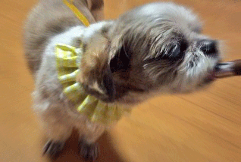 f:id:masami_takasu:20180902003919g:plain