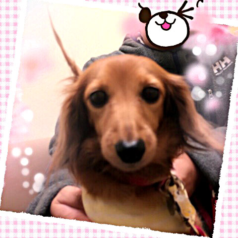 f:id:masami_takasu:20180906162237j:plain