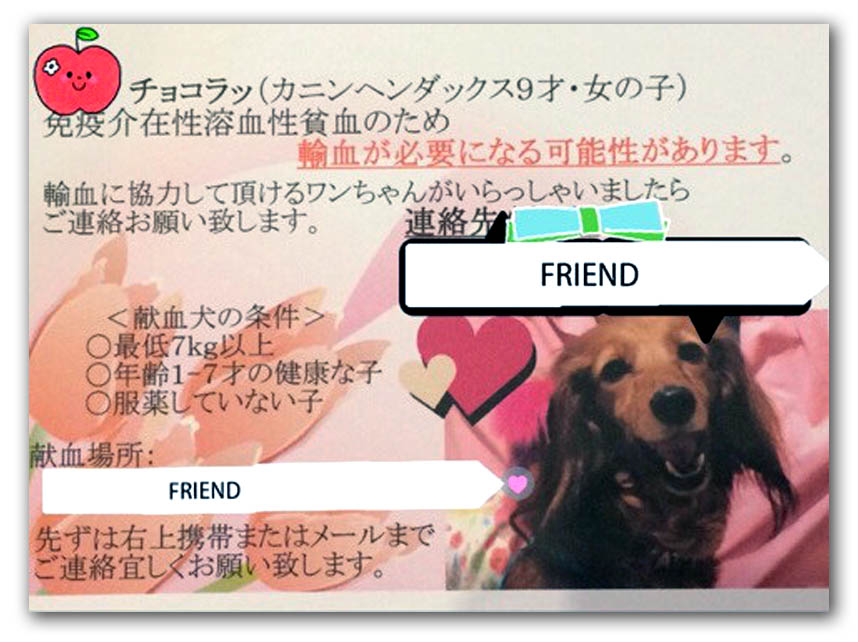 f:id:masami_takasu:20180906163856j:plain
