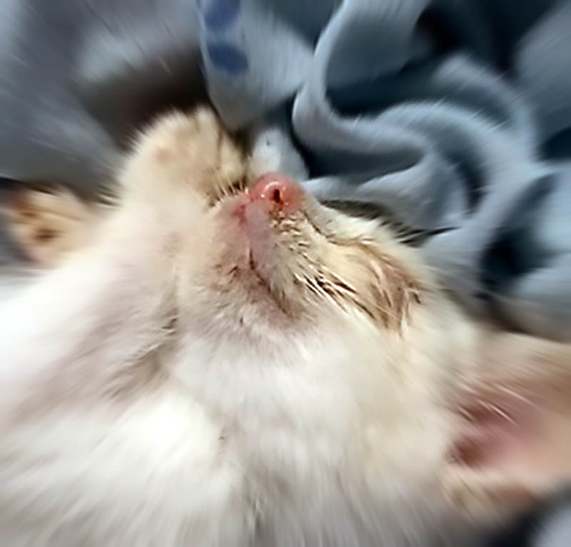 f:id:masami_takasu:20180906170941j:plain