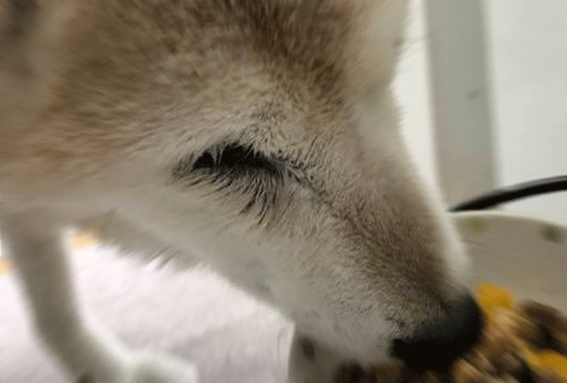 f:id:masami_takasu:20180909234824g:plain f:id:masami_takasu:20180909234824g:plain