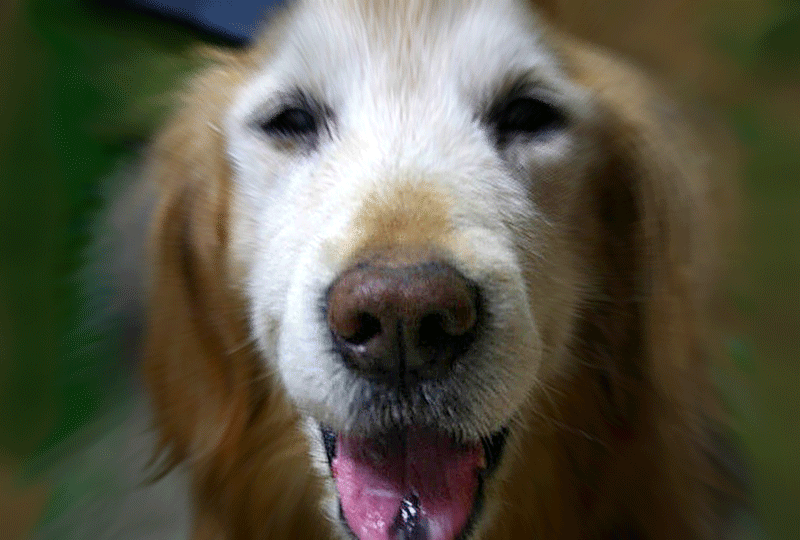 f:id:masami_takasu:20180910152755g:plain f:id:masami_takasu:20180910152755g:plain