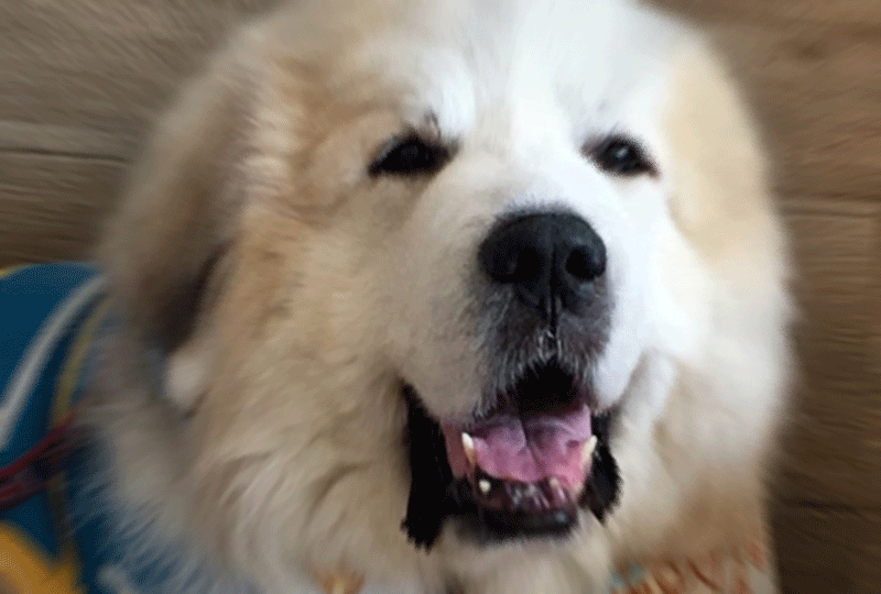 f:id:masami_takasu:20180910154738g:plain f:id:masami_takasu:20180910154738g:plain