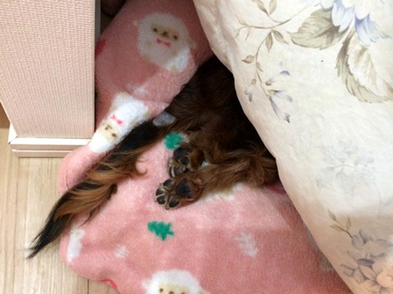 f:id:masami_takasu:20180911154015j:plain f:id:masami_takasu:20180911154015j:plain