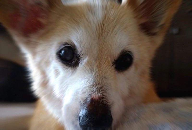 f:id:masami_takasu:20180912151648g:plain f:id:masami_takasu:20180912151648g:plain