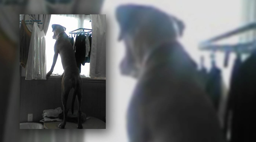 f:id:masami_takasu:20180914001239j:plain