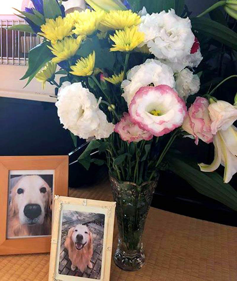 f:id:masami_takasu:20180914001648j:plain