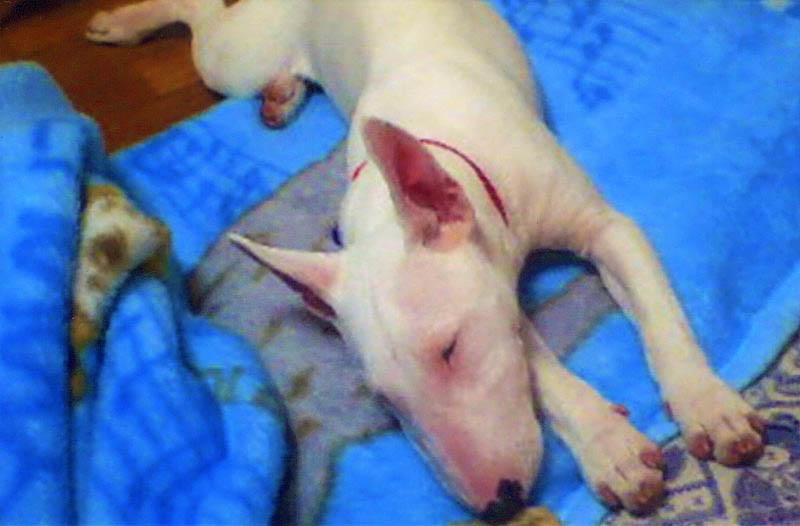 f:id:masami_takasu:20180914114512j:plain