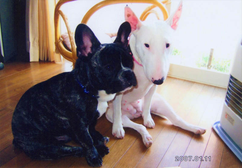 f:id:masami_takasu:20180914114627j:plain