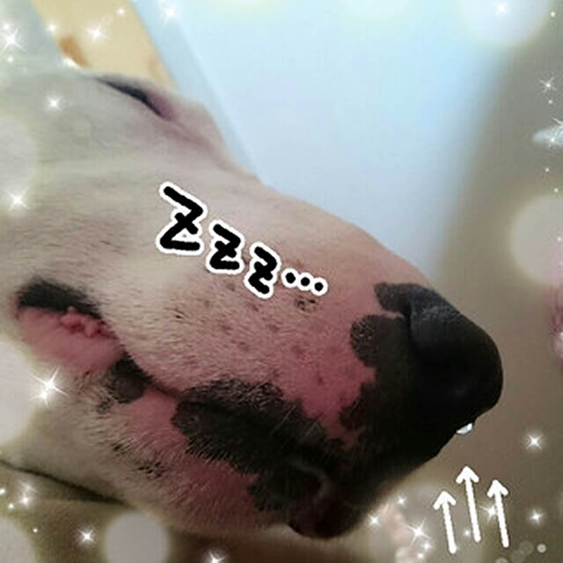 f:id:masami_takasu:20180914114655j:plain