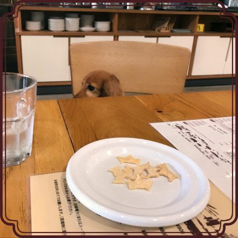 f:id:masami_takasu:20180916131452j:plain