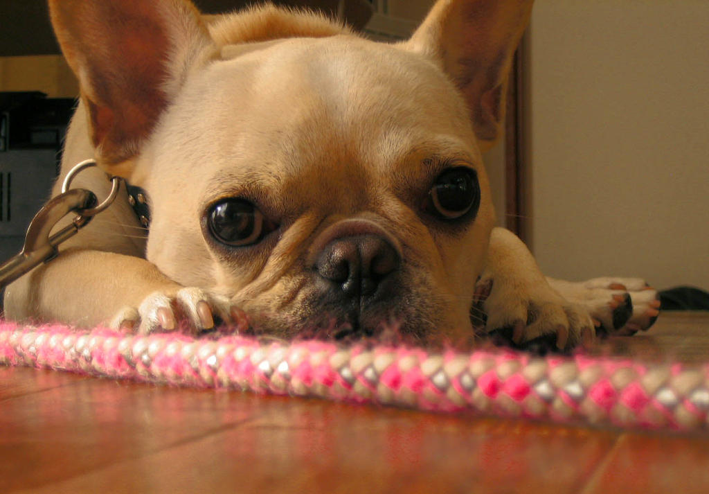 f:id:masami_takasu:20180918113815j:plain