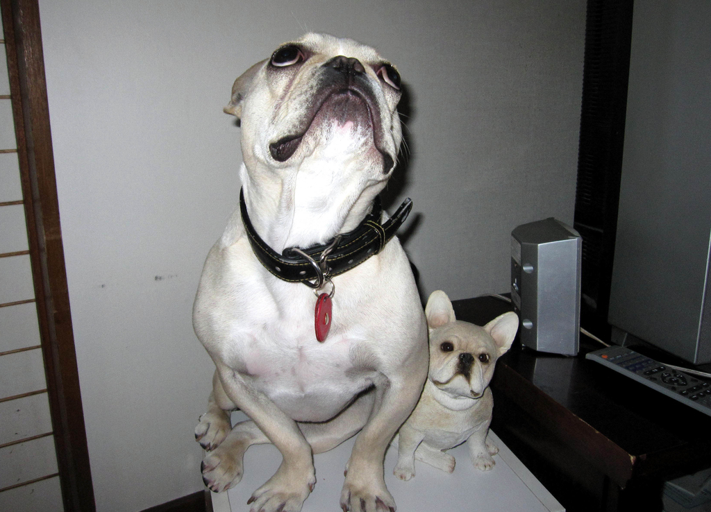 f:id:masami_takasu:20180918113826j:plain