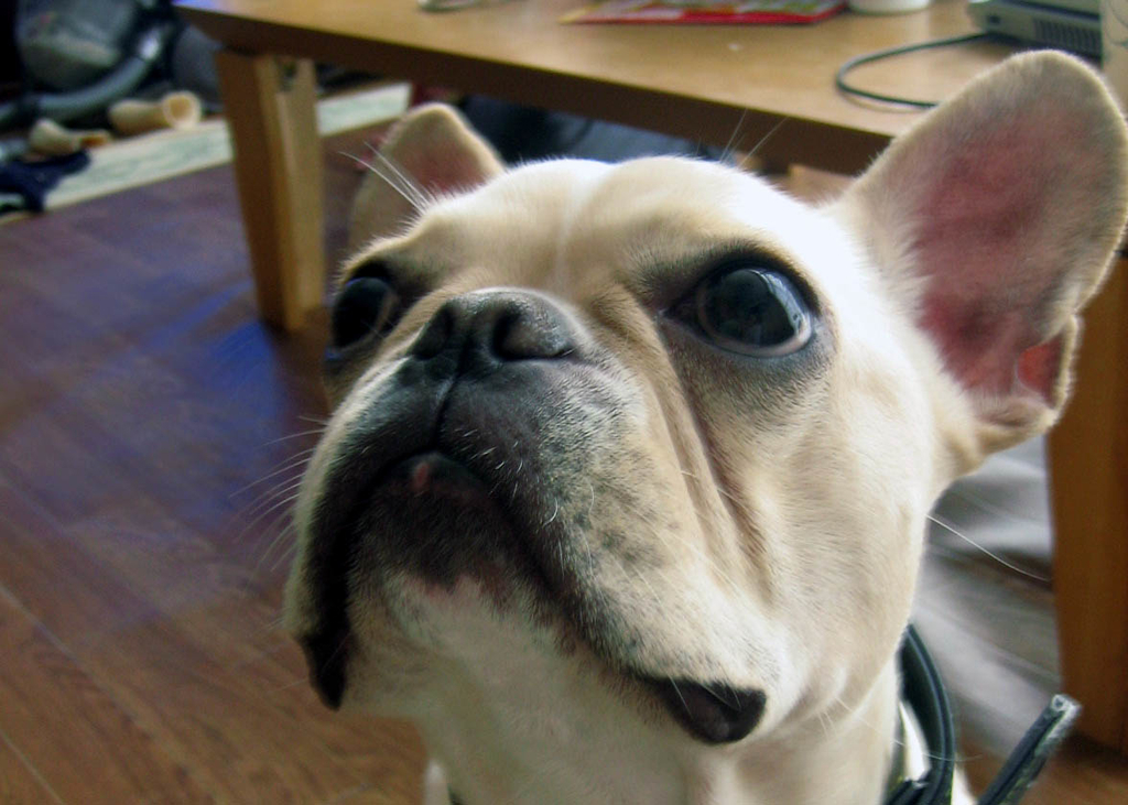 f:id:masami_takasu:20180918114528j:plain