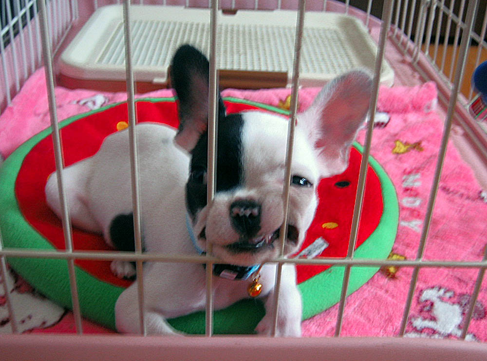 f:id:masami_takasu:20180918114805j:plain