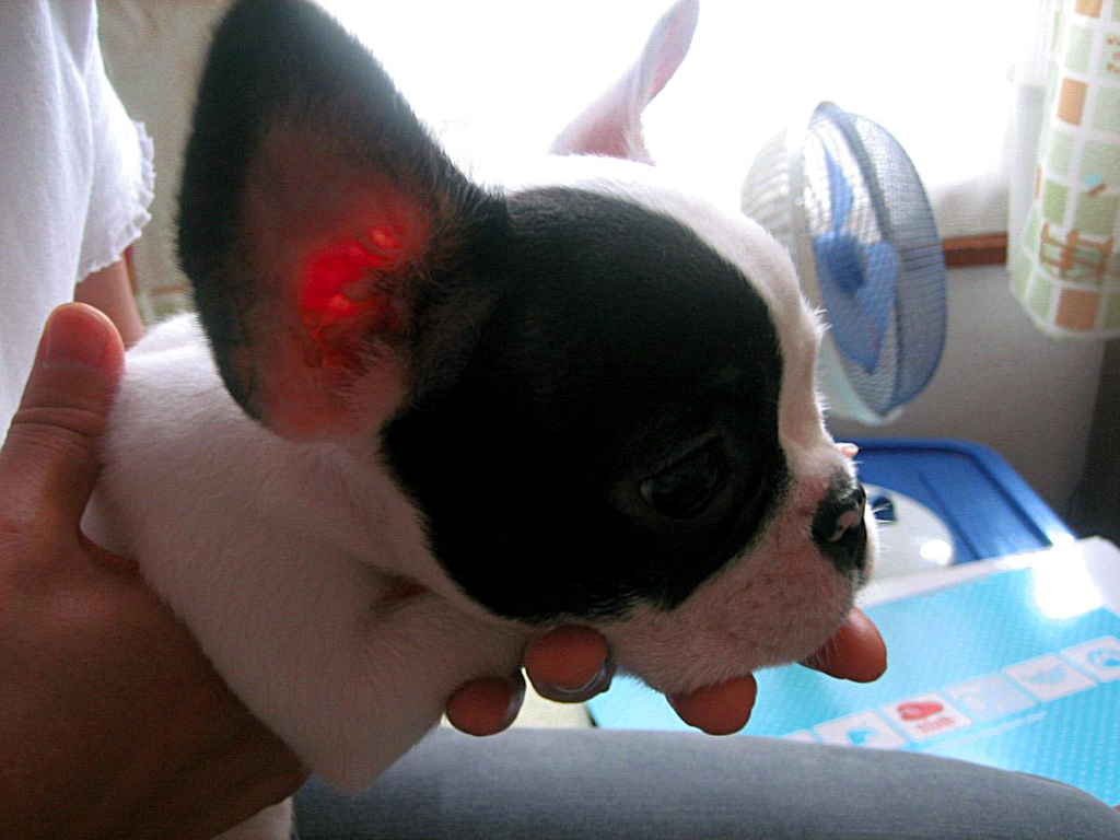 f:id:masami_takasu:20180918134347j:plain