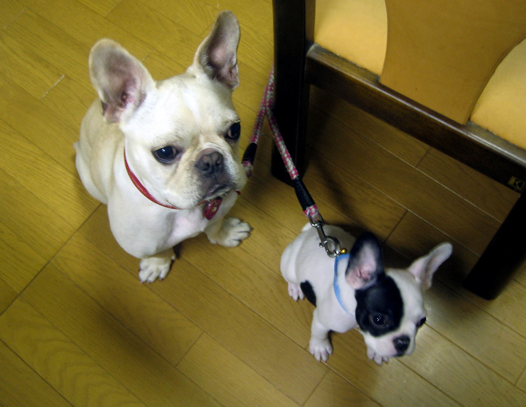 f:id:masami_takasu:20180918134400j:plain