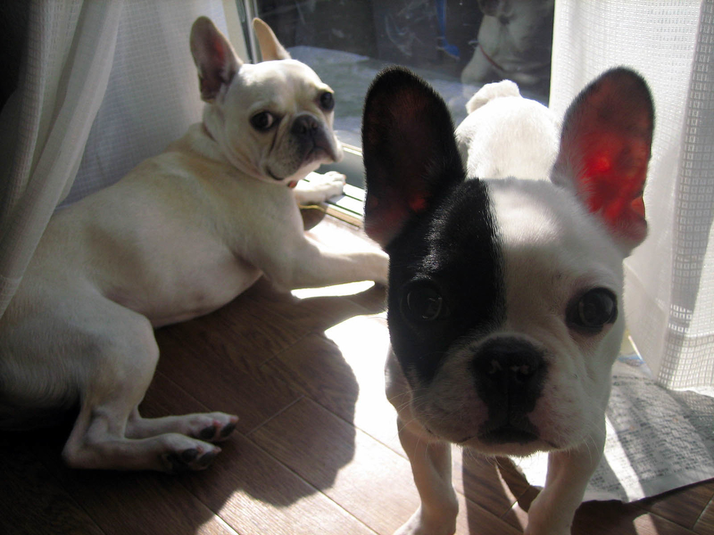 f:id:masami_takasu:20180918134414j:plain