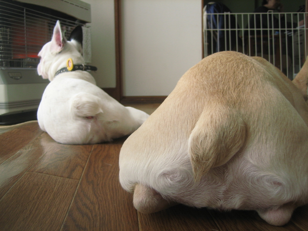 f:id:masami_takasu:20180918134602j:plain