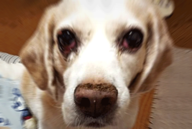 f:id:masami_takasu:20180924193238g:plain