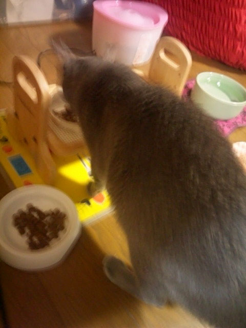 f:id:masami_takasu:20180926104513j:plain f:id:masami_takasu:20180926104513j:plain