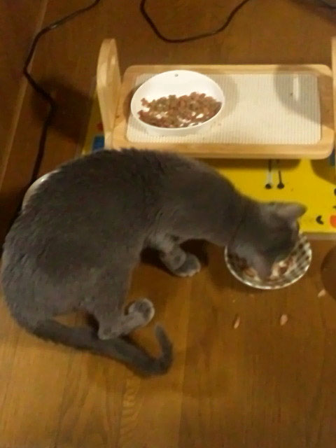 f:id:masami_takasu:20180926104542j:plain f:id:masami_takasu:20180926104542j:plain