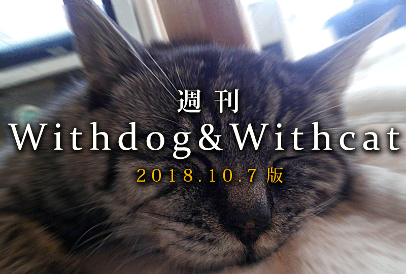 f:id:masami_takasu:20181001110745g:plain