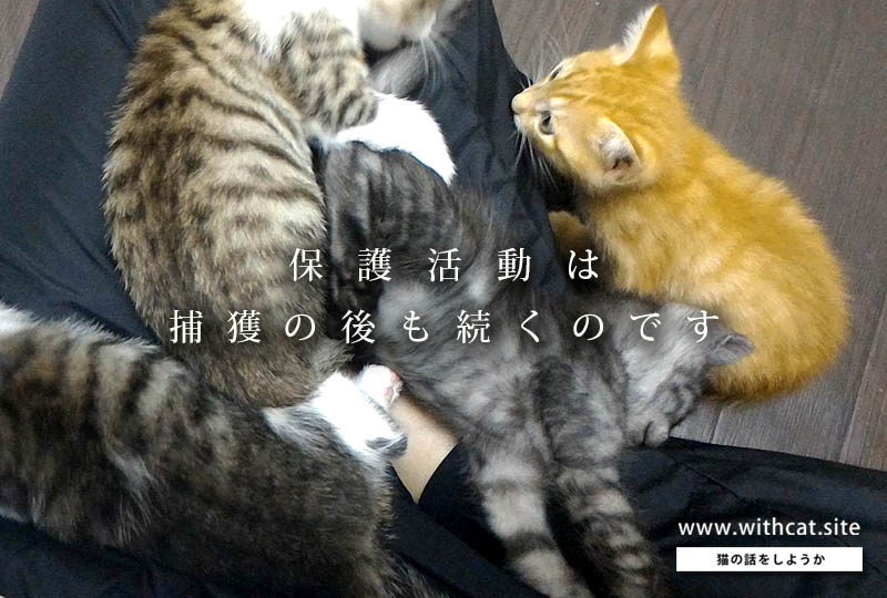 f:id:masami_takasu:20181004181753j:plain f:id:masami_takasu:20181004181753j:plain