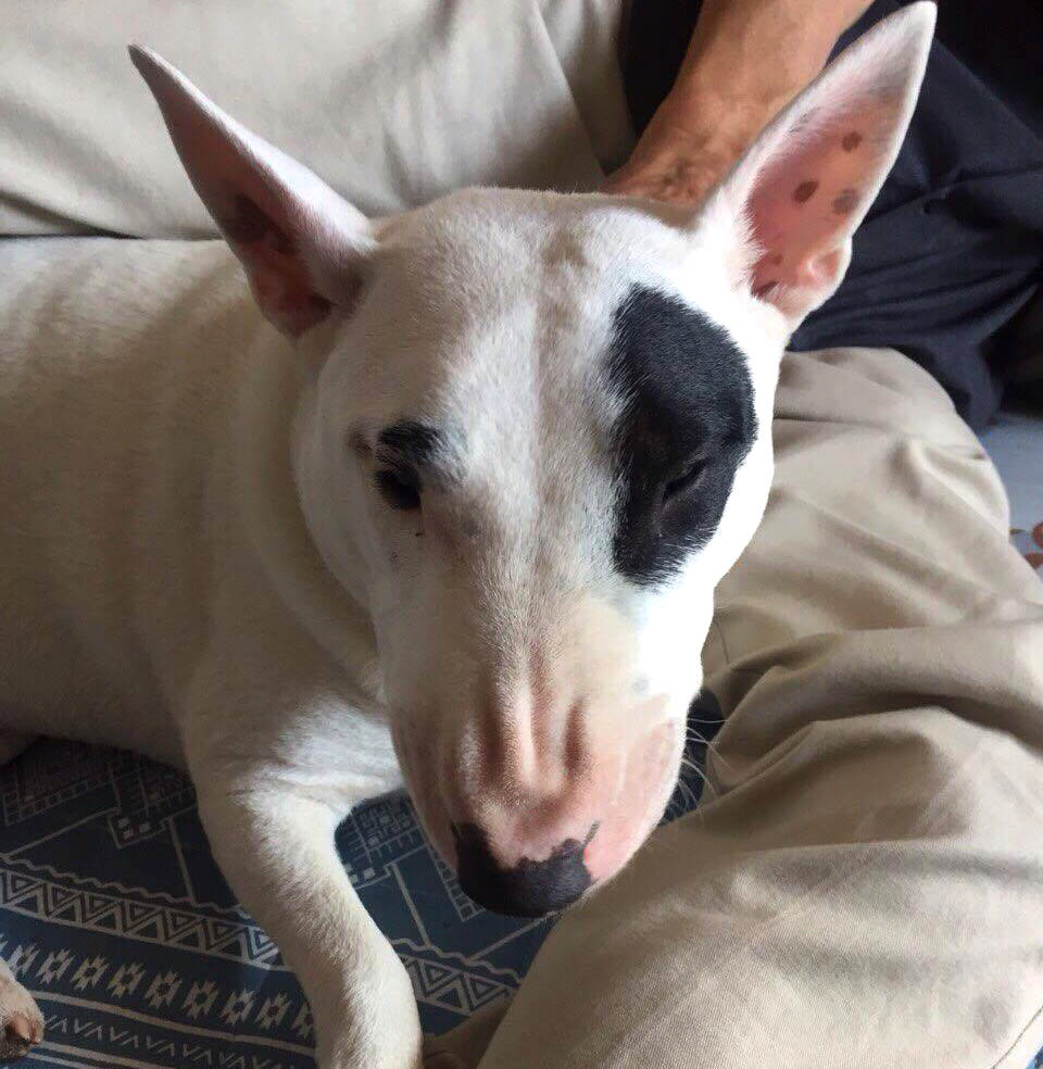 f:id:masami_takasu:20181005154232j:plain