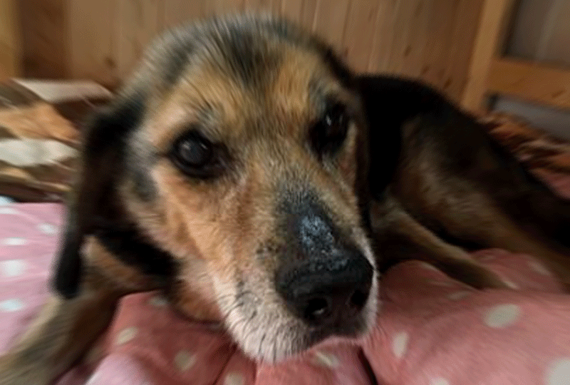 f:id:masami_takasu:20181006090614g:plain f:id:masami_takasu:20181006090614g:plain