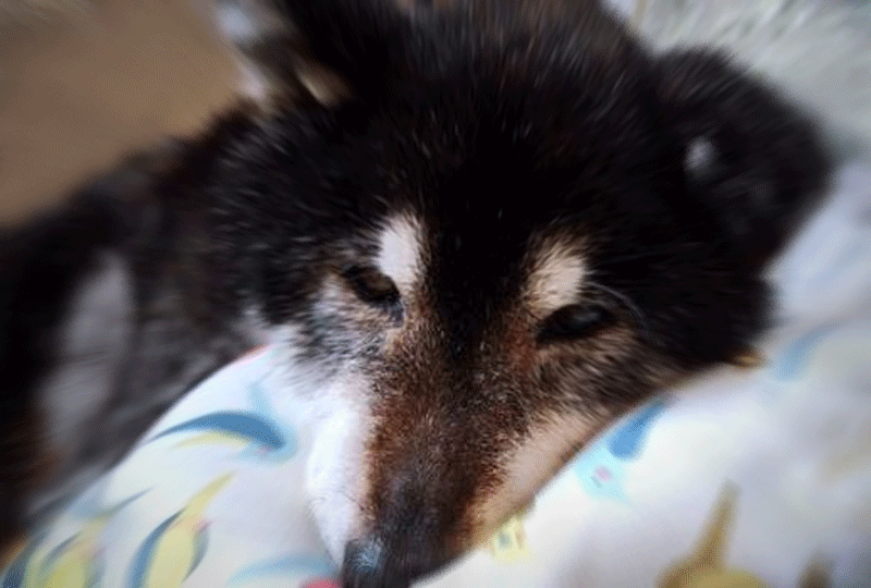 f:id:masami_takasu:20181006165424g:plain f:id:masami_takasu:20181006165424g:plain