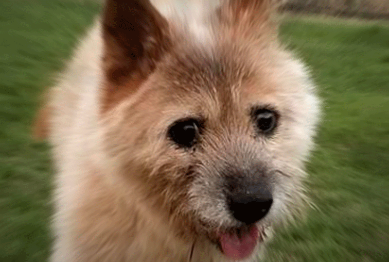 f:id:masami_takasu:20181007002335g:plain