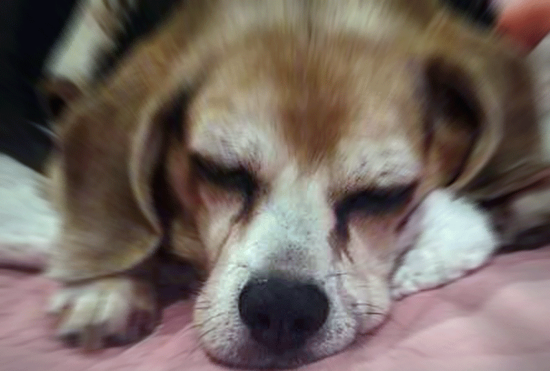 f:id:masami_takasu:20181007004209g:plain