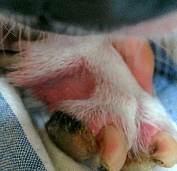 f:id:masami_takasu:20181007124204j:plain