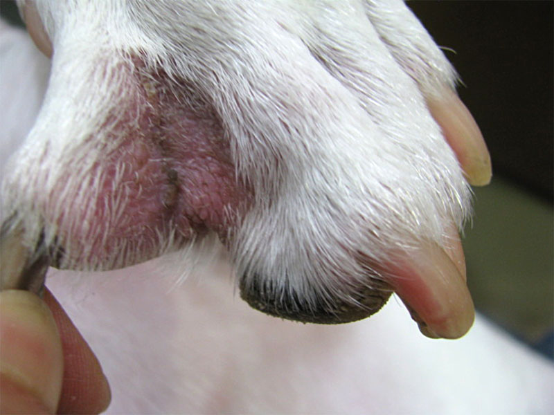 f:id:masami_takasu:20181007124215j:plain