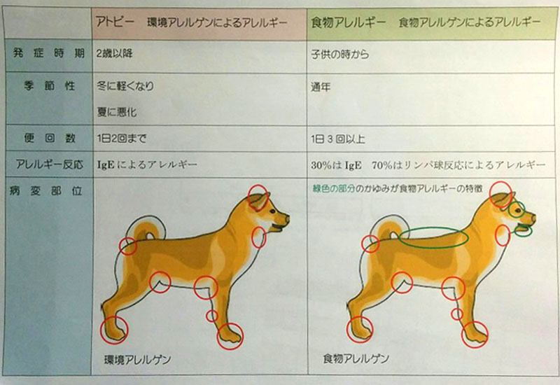 f:id:masami_takasu:20181007124447j:plain