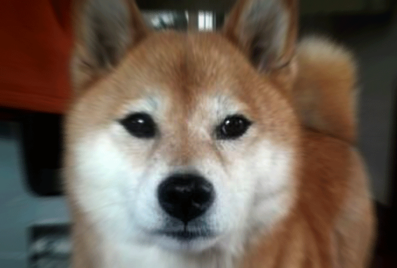 f:id:masami_takasu:20181007181101g:plain f:id:masami_takasu:20181007181101g:plain