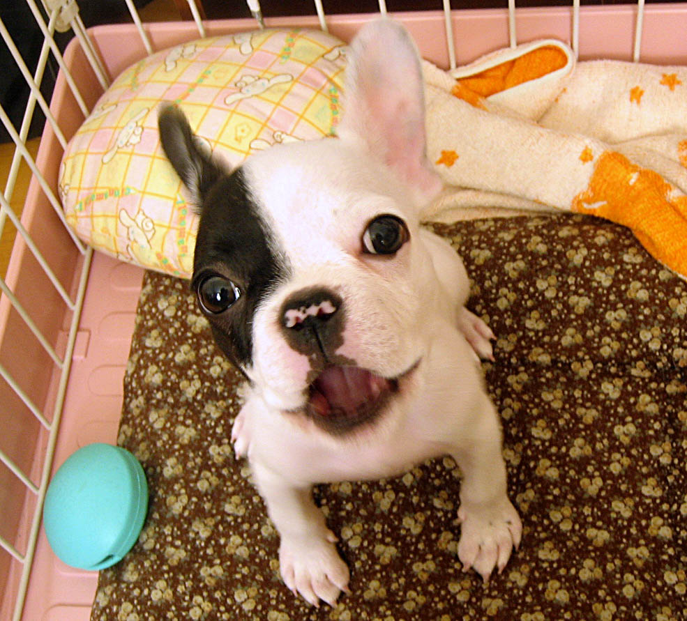 f:id:masami_takasu:20181011090150j:plain