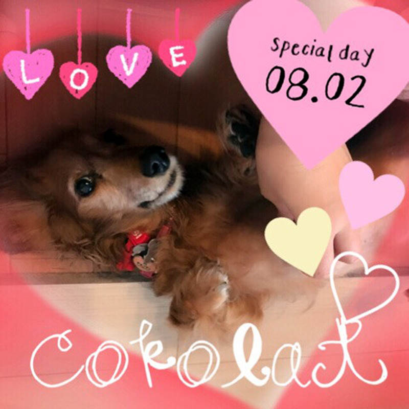 f:id:masami_takasu:20181014112950j:plain f:id:masami_takasu:20181014112950j:plain