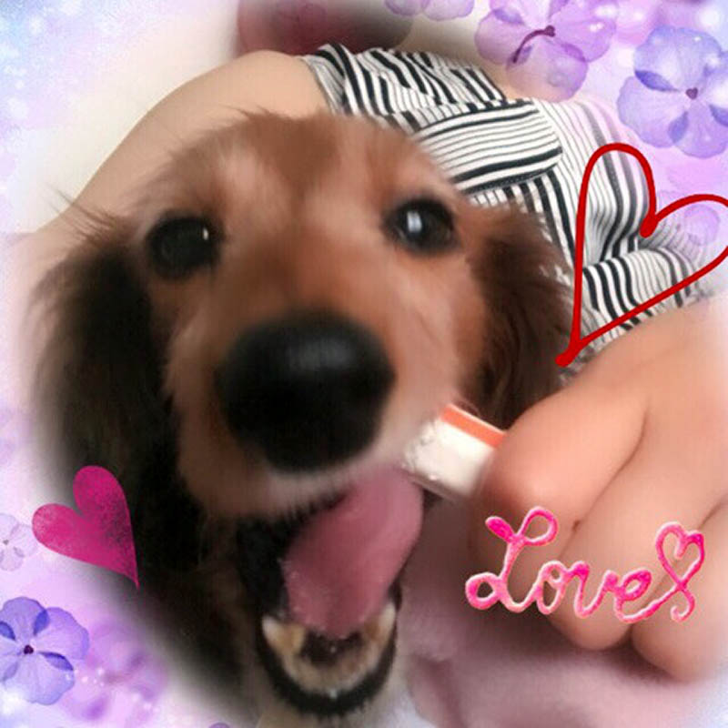f:id:masami_takasu:20181014131140j:plain f:id:masami_takasu:20181014131140j:plain