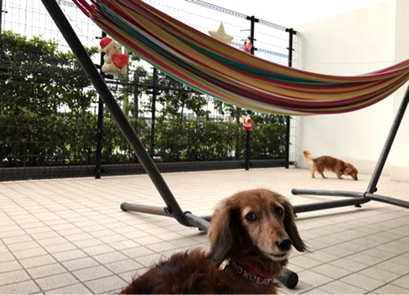 f:id:masami_takasu:20181014132331j:plain