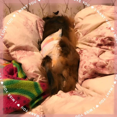 f:id:masami_takasu:20181014132459j:plain