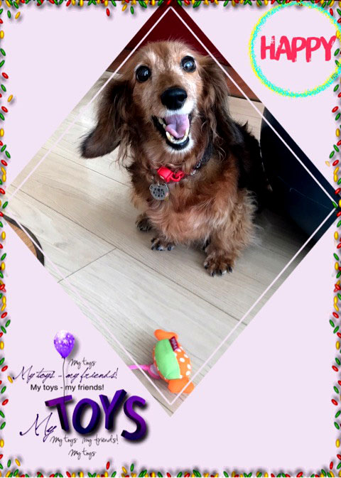 f:id:masami_takasu:20181014132731j:plain