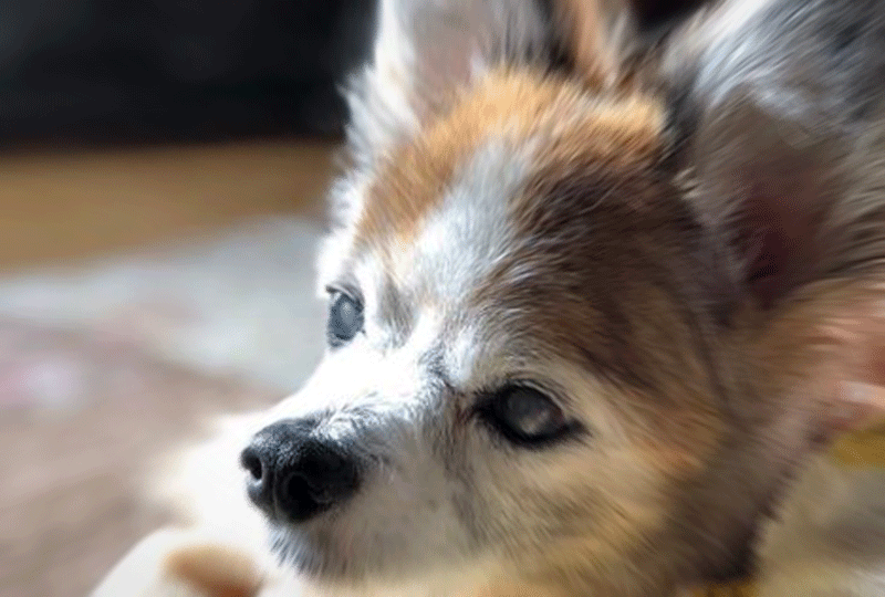 f:id:masami_takasu:20181014184916g:plain