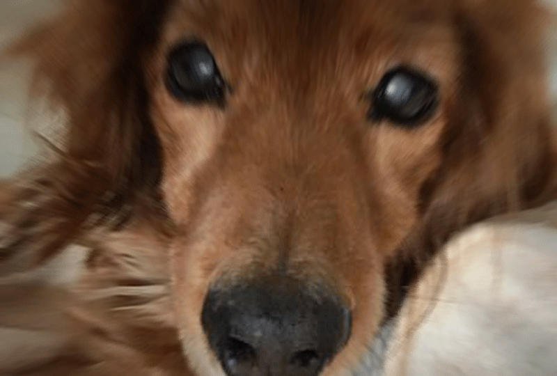 f:id:masami_takasu:20181014184940g:plain