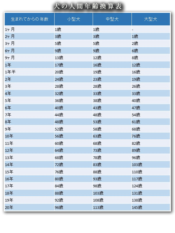 f:id:masami_takasu:20181019165213g:plain
