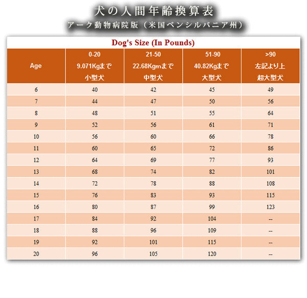 f:id:masami_takasu:20181019165358g:plain